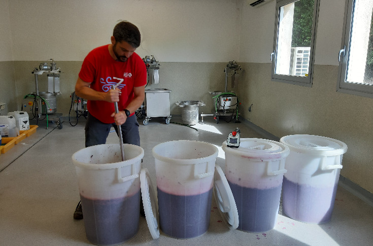 56 600 € de crédit d’impôt récupérés par l’Institut Coopératif du Vin