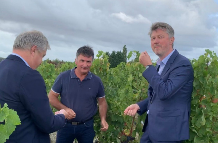 Jean-Philippe Limito dirige Joseph Verdier, filiale des vins de Loire du groupe Taillan