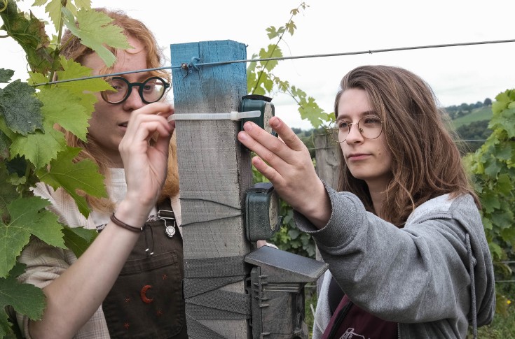 Ils veulent créer le Yuka de la biodiversité au vignoble