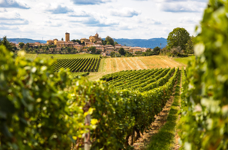 Pestiriv, l’étude sur l’exposition phyto des voisins de vignes retardée politiquement ?
