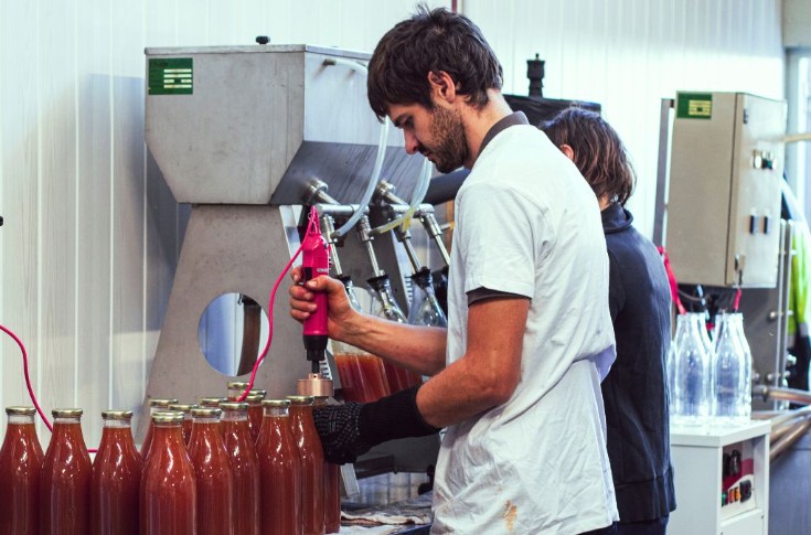 Des viticulteurs bordelais se lancent dans le jus de raisin