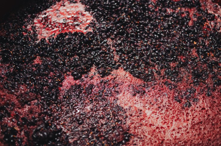Bretts, montées de volatiles... pourquoi ces vignerons renoncent aux levures indigènes