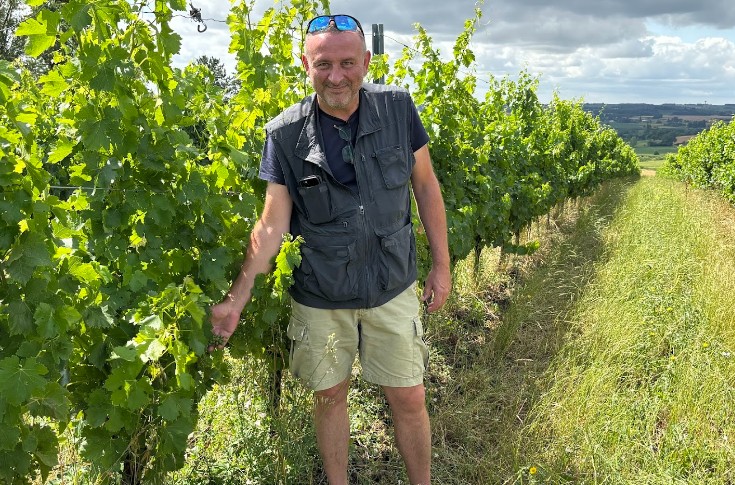 Cette coopérative prime jusqu’à 3 000 €/ha la plantation des vignes résistantes aux maladies ou aux fortes chaleurs