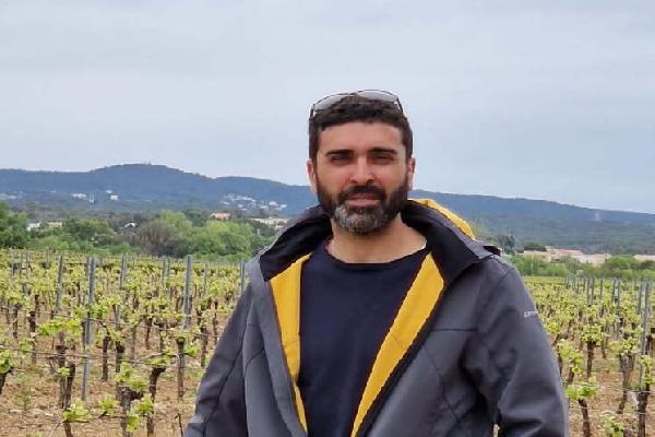 Les vignerons se détournent des produits de biocontrôle dont l'efficacité est incertaine