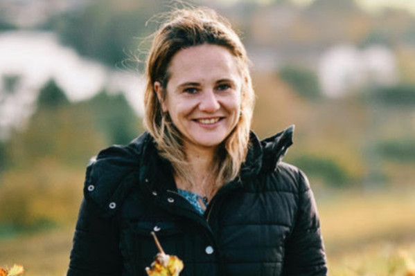 Rendement Champagne : 'nous demandons 10 500 kg/ha' en 2025