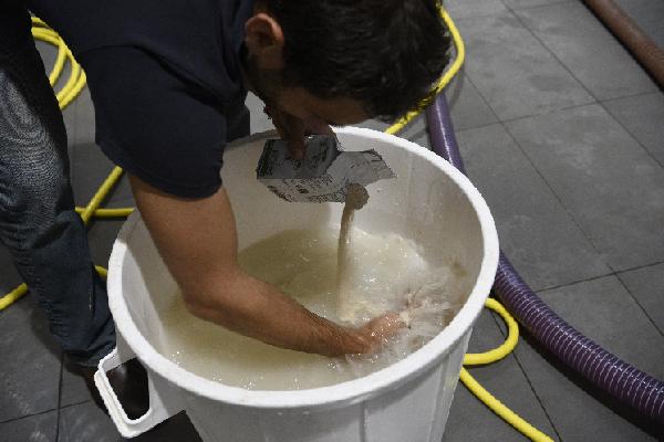 Toutes les caractéristiques des nouvelles levures pour vos vinifications 2025