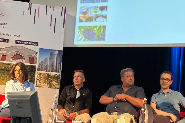 A chaque coopérative viticole sa stratégie pour durer