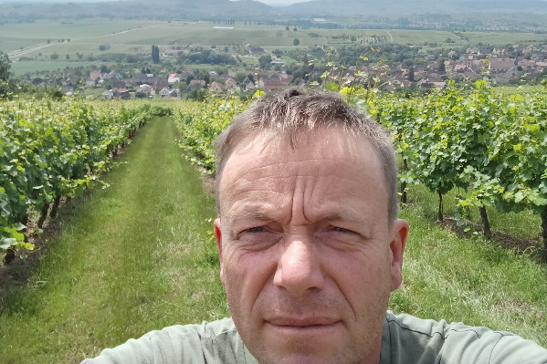 'L’assouplissement de l’arrêté pollinisateur est un soulagement' : parole de vigneron