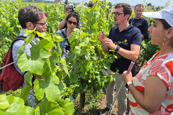 'La vigne se découvre aussi avec les mains'