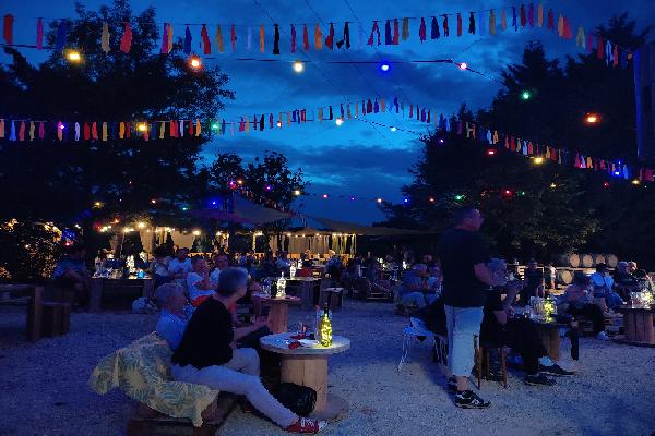 'On a aménagé un parking car au début il y avait des voitures partout dans les vignes', les conseils de trois vignerons pour des soirées musicales réussies