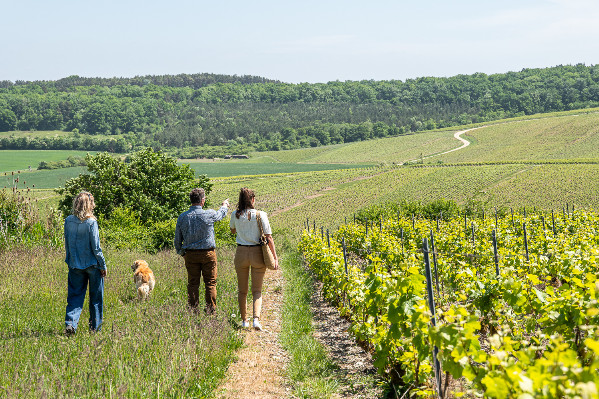 De Barfontarc associe œnotourisme et biodiversité