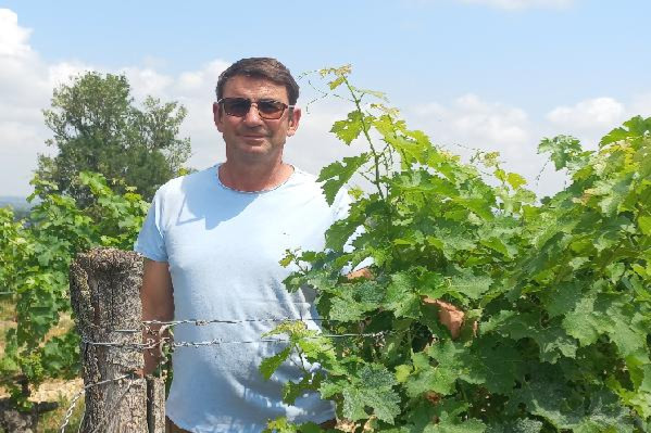 'En 2024 je n'ai récolté que 12 hl/ha malgré 15 traitements', rincés par le mildiou, ces vignerons arrêtent le bio