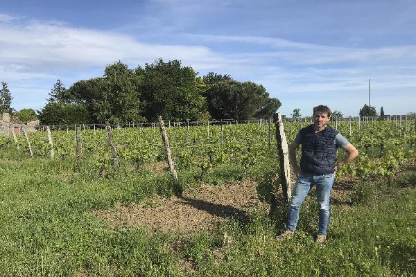 'Le mildiou est un adversaire que l'on connaît mal', ces viticulteurs girondins testent différentes solutions dans le cadre d'essais participatifs