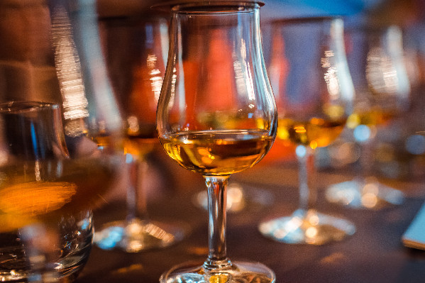 Le débat sur les plantations de vignes à Cognac renaît à l’heure des besoins d’arrachage