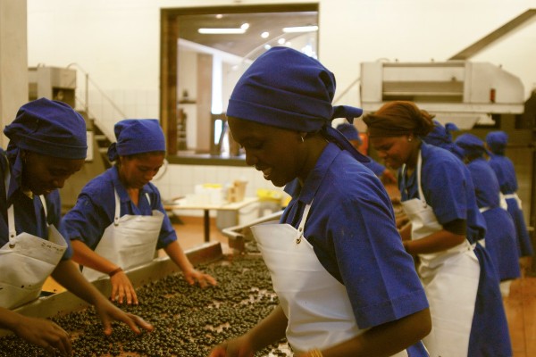 L’Europe verse 15 millions € au vignoble d'Afrique du Sud