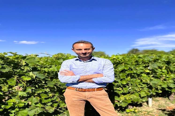  La coopération, un modèle rassurant pour s'installer en viticulture