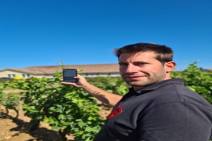  Ces vignerons font des affaires grâce à Instagram