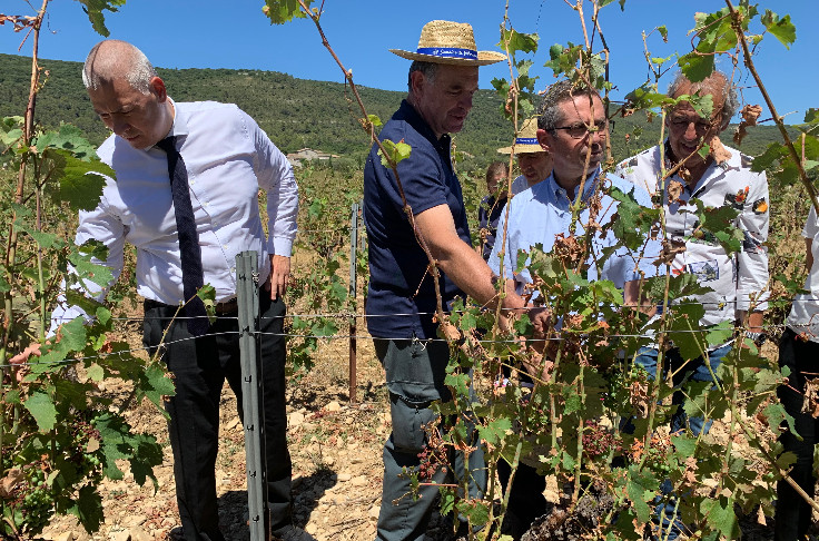 Le vignoble trace ses lignes rouges pour la future assurance récolte