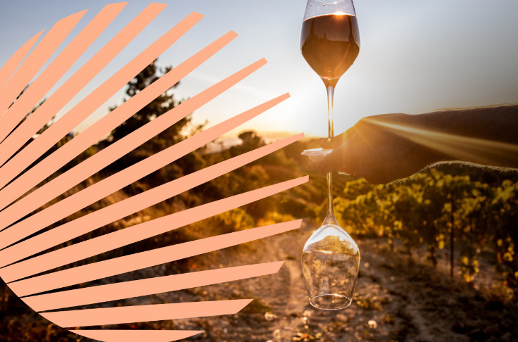 La filiale vin d’InVivo s’émancipe