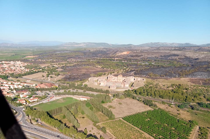 Dans le Roussillon, le vignoble a joué son rôle coupe-feu contre l'incendie