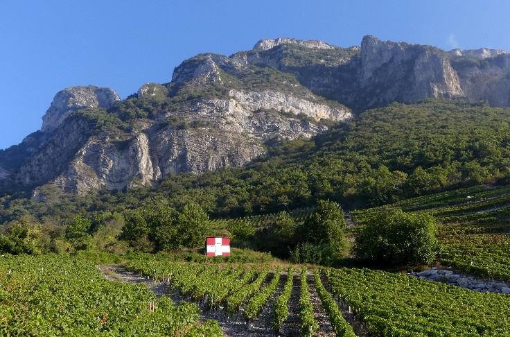Tensions en vue sur les volumes disponibles de vins de Savoie