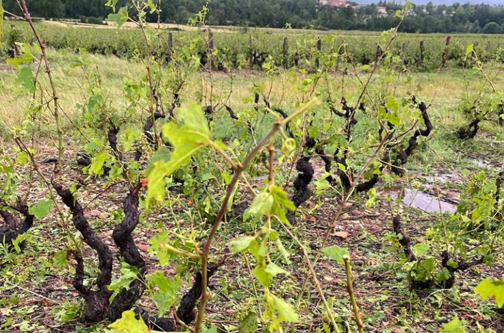Pour les vins du Beaujolais, 