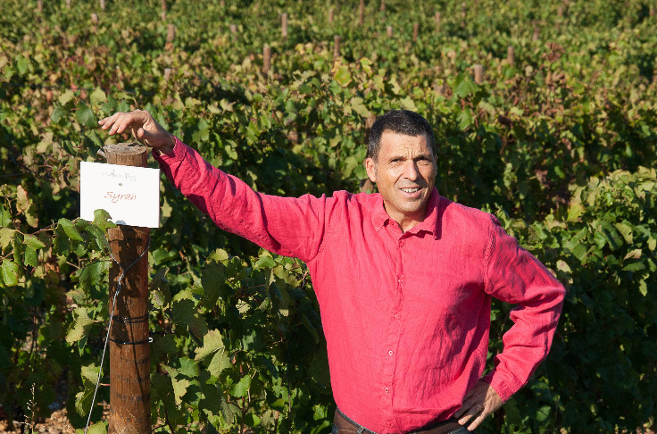 Benoît Viot président de l’AOC des vins du Pic Saint-Loup