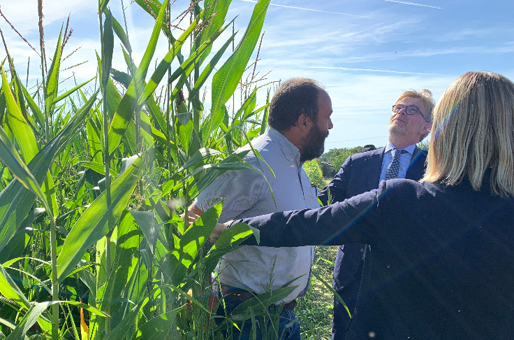 Le gouvernement veut 