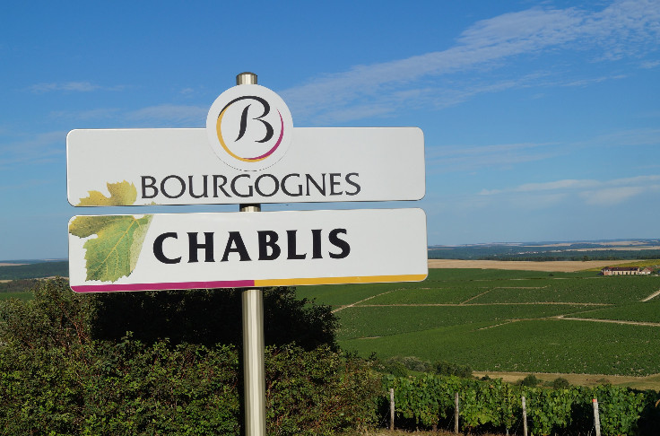 Les vins de Chablis entrevoient un millésime rêvé