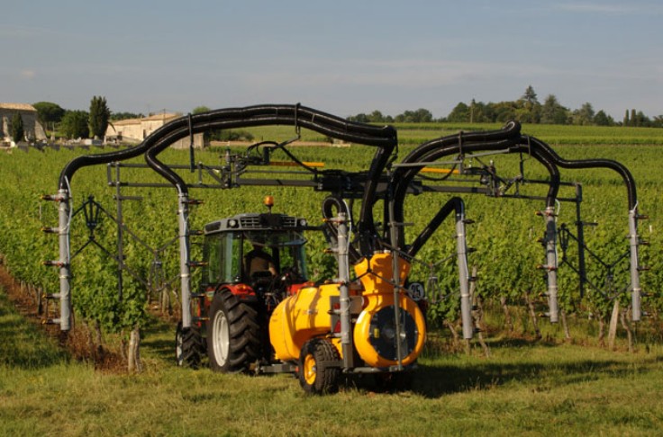 Lien confirmé entre risque de leucémies et proximité de vigne chez l'enfant