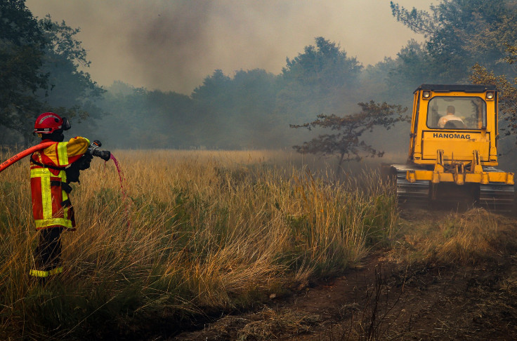 Un pare-feu pour protéger des incendies les Grands Chais de France à Landiras