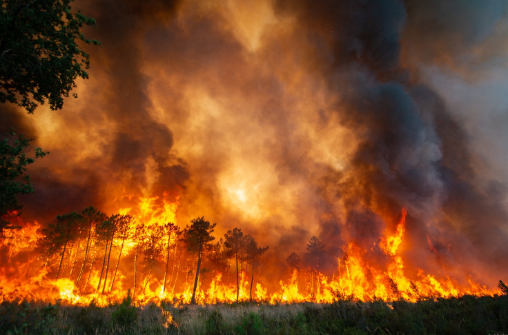 Il n’y a pas que les pins qui brûlent à Bordeaux, les vins aussi 🕯️🔥🕯️