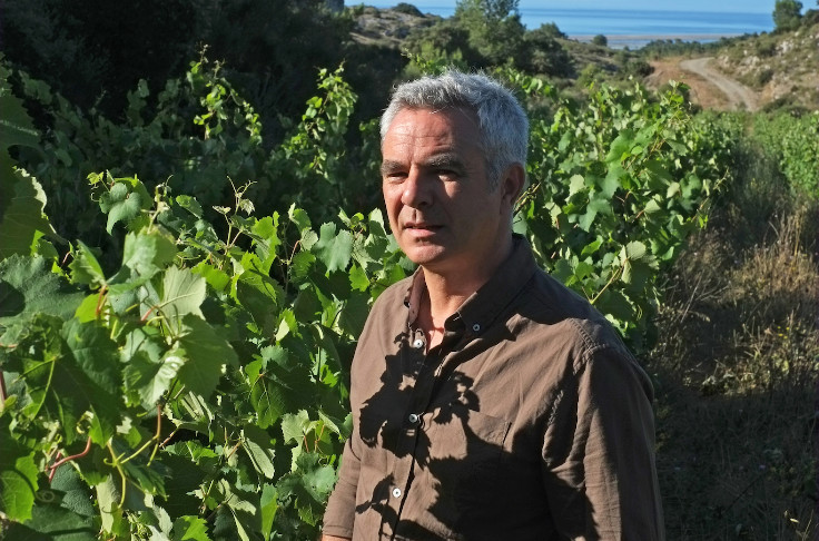 Réorientation stratégique pour l’interprofession des vins du Languedoc