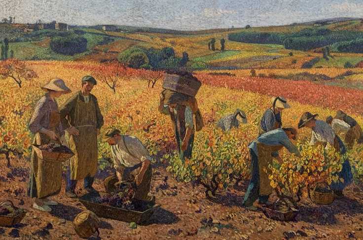 Consultation ouverte entre vignobles qui veulent produire et ceux qui veulent réduire