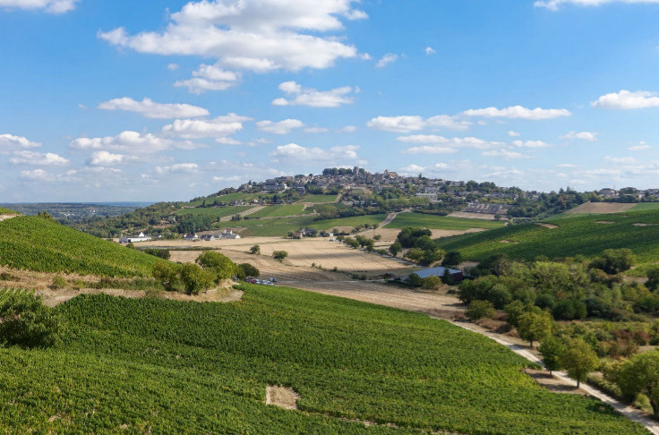 Le groupe Bollinger acquiert le domaine Hubert Brochard