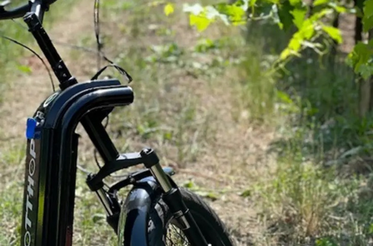 Trottinette tout-terrain pour découvrir vignobles, caves et distilleries