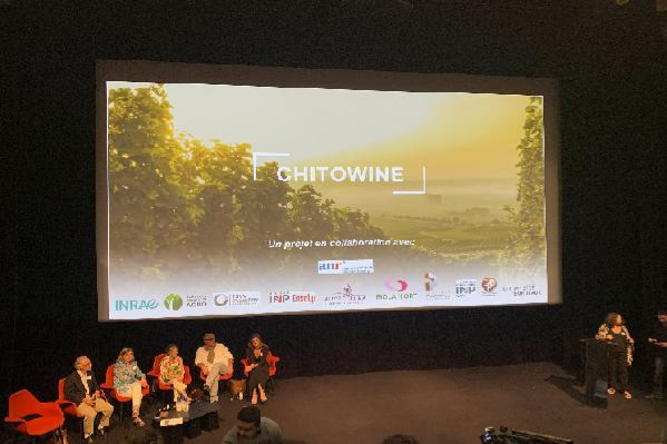  Le chitosane n'a pas d'effet contre la flore microbienne des moûts