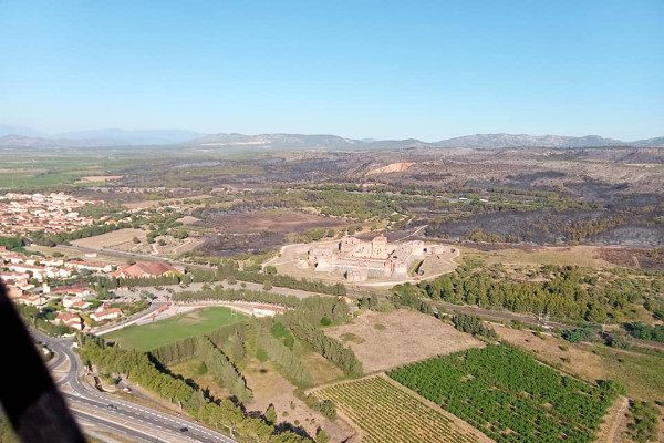 Dans le Roussillon, le vignoble a joué son rôle coupe-feu contre l'incendie