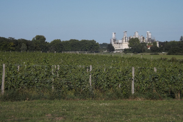 Vigne 'patrimoniale' et chai flambant neuf pour le château de Chambord