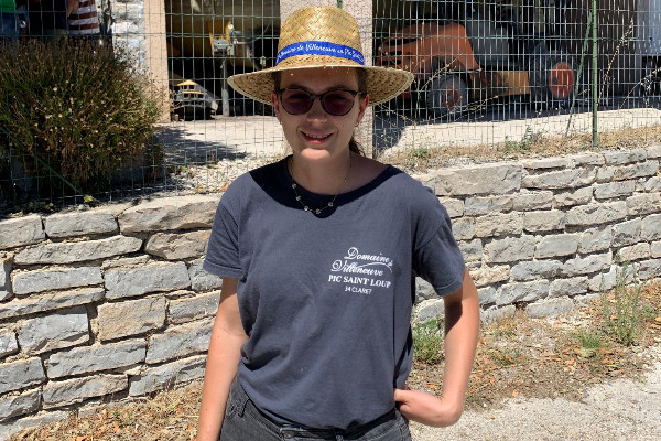 L’impact de la grêle se mesure aussi sur la transmission d’un vignoble