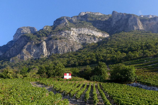 Tensions en vue sur les volumes disponibles de vins de Savoie