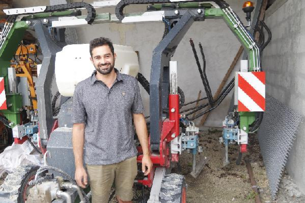  À chaque cep un jet d'herbicide suivi d'un coup de lame entre les pieds