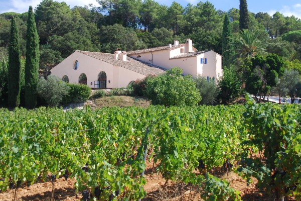 Les vignerons provençaux 'restent sereins' malgré le manque d’eau