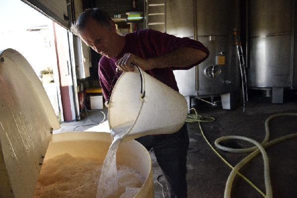  Une nouvelle levure pour relancer des moûts bloqués jusqu'à 16 % vol