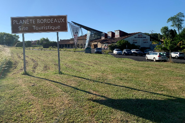 Déprime d’arrachage pour les vignerons de Bordeaux