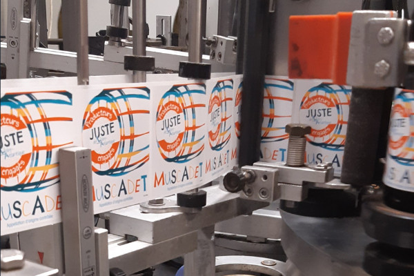 Ce vin équitable, c’est Juste… le blanc