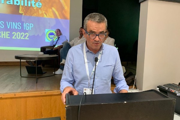 L’IGP Vaucluse veut distiller 100 000 hl de vin rosé