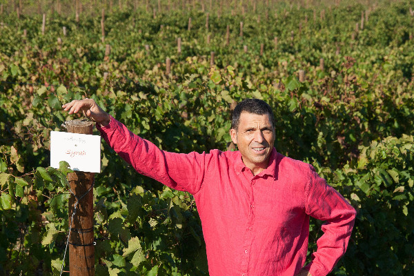 Benoît Viot président de l’AOC des vins du Pic Saint-Loup