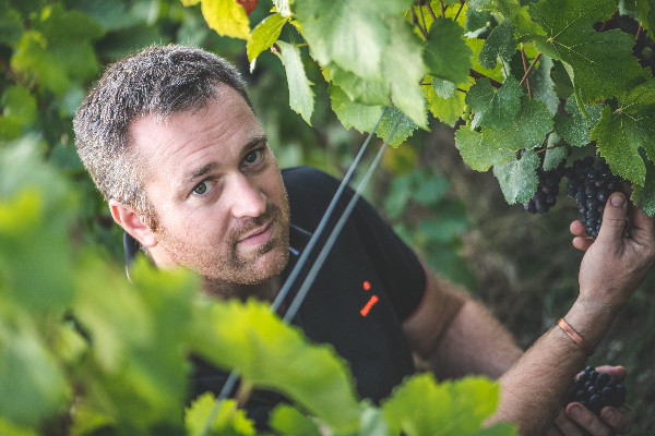 Alexis Leconte préside l’association des producteurs de ratafia de Champagne