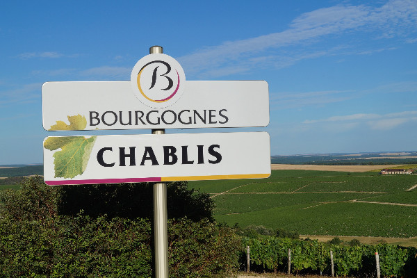 Les vins de Chablis entrevoient un millésime rêvé